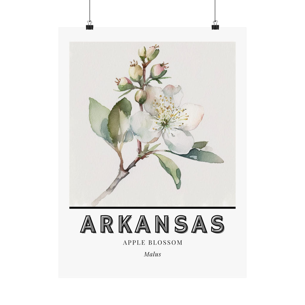Arkansas State Flower Poster - Apple Blossom Botanical Print