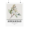 Arkansas State Flower Poster - Apple Blossom Botanical Print