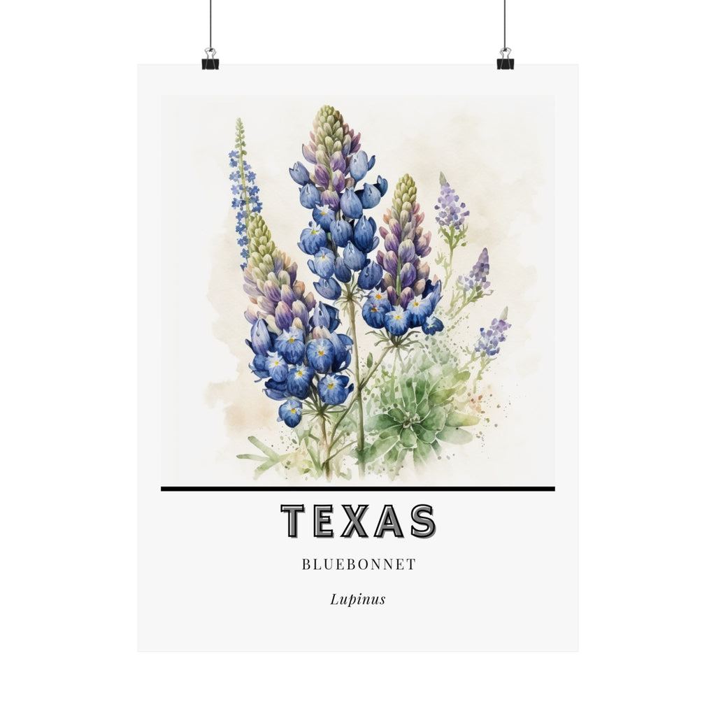 Texas State Flower Poster - Bluebonnet Botanical Print