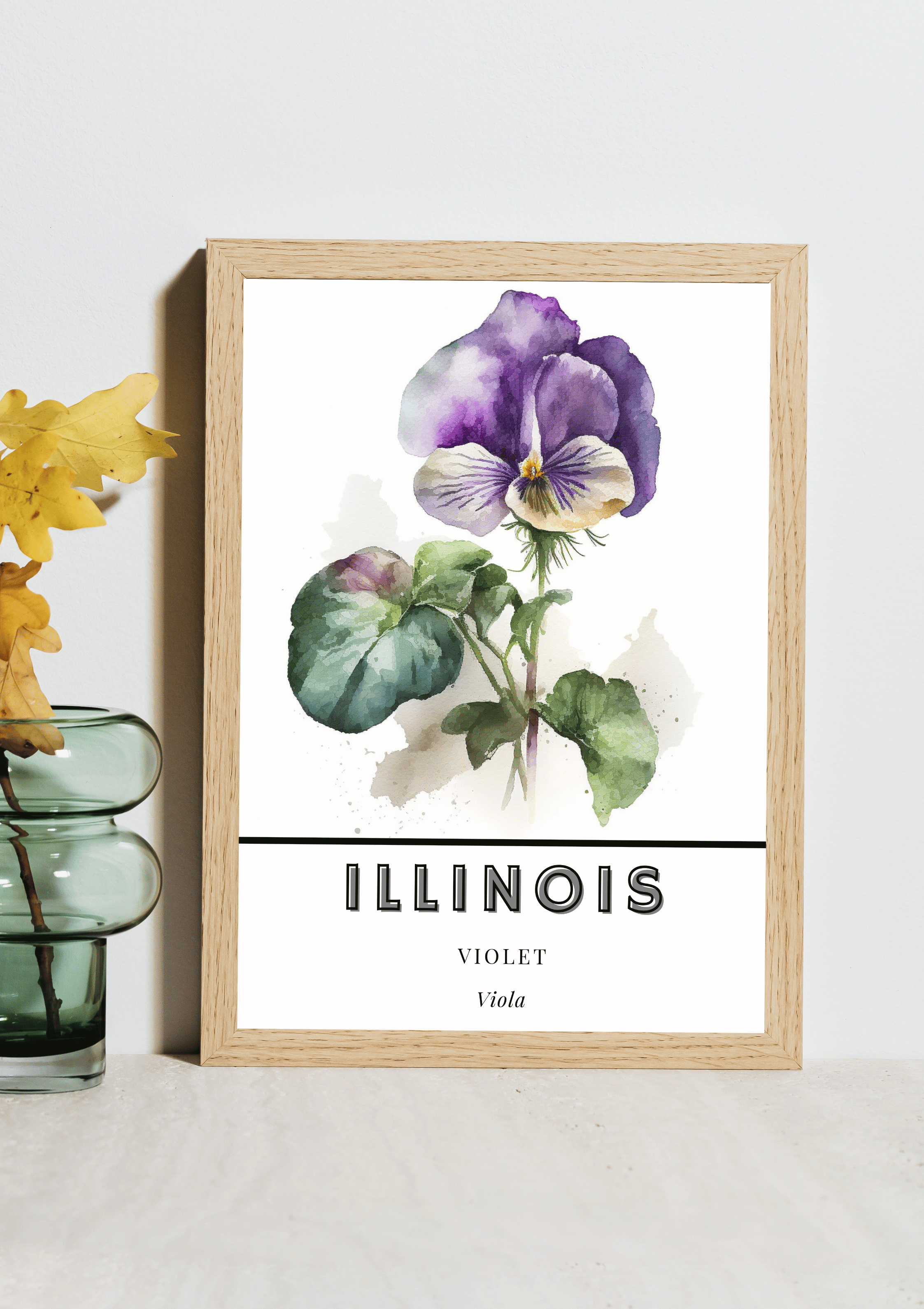 Illinois State Flower Poster - Violet Watercolor Print