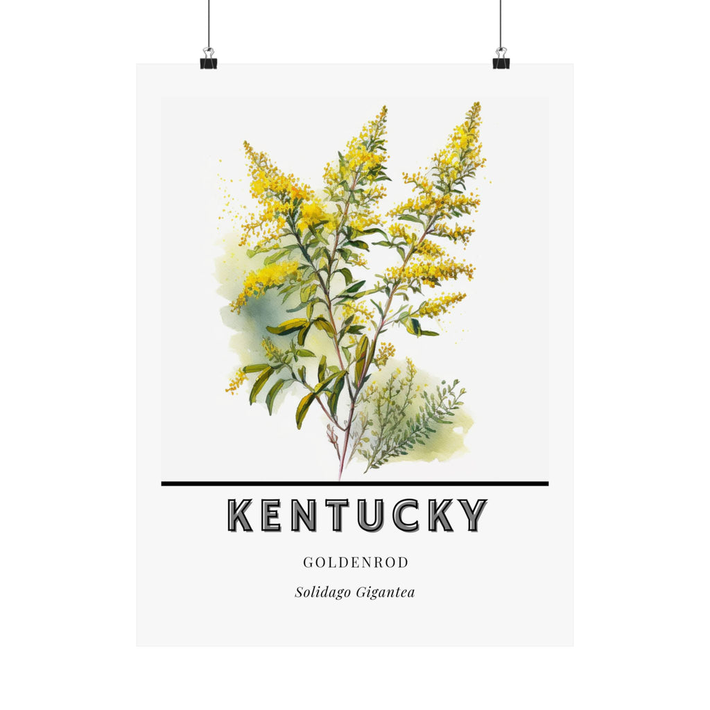 Kentucky State Flower Poster - Goldenrod Botanical Print