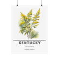Kentucky State Flower Poster - Goldenrod Botanical Print