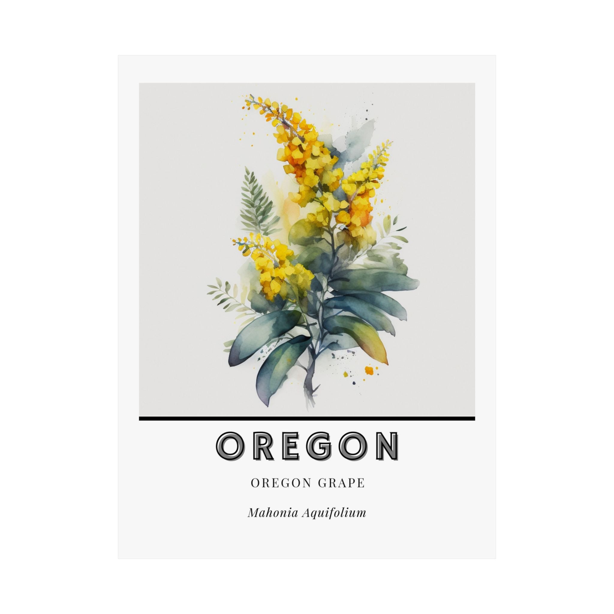 Oregon State Flower Poster - Oregon Grape Watercolor Print