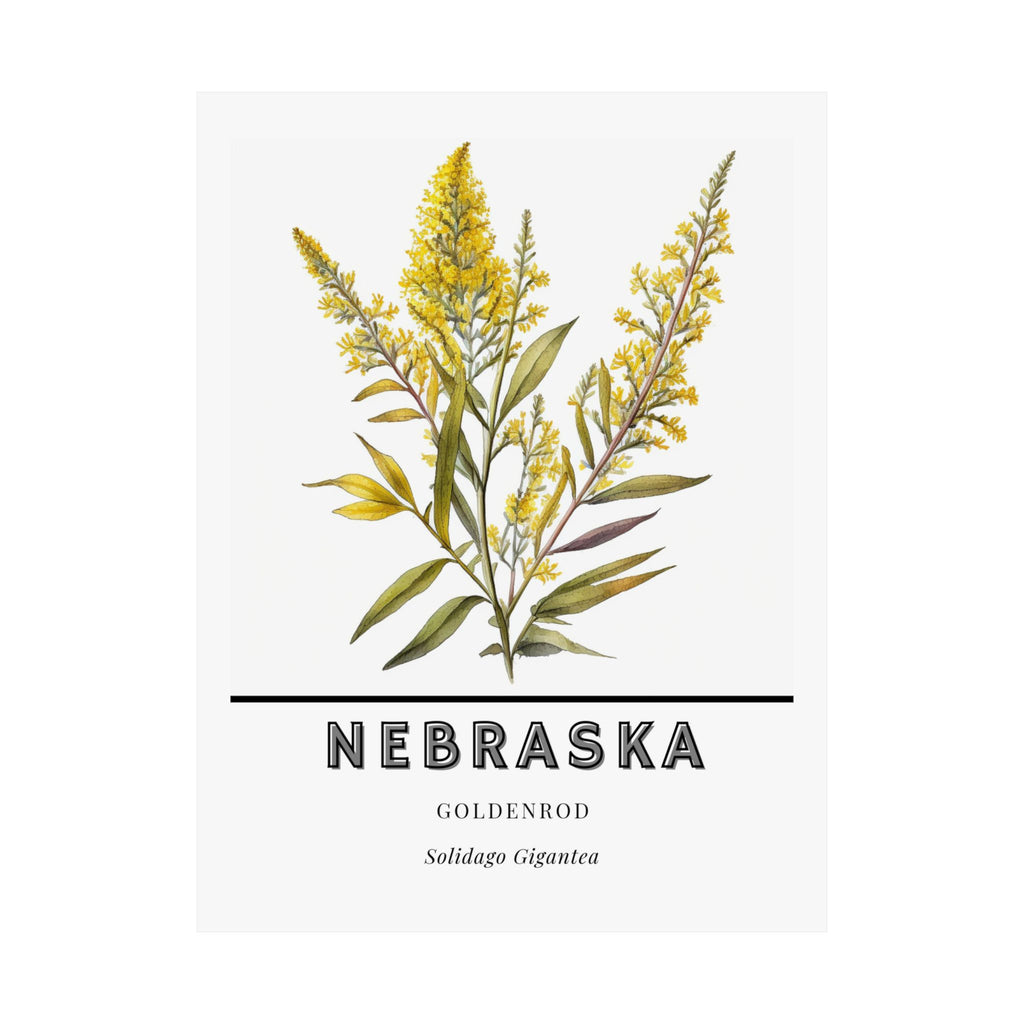 Nebraska State Flower Poster - Goldenrod Watercolor Print