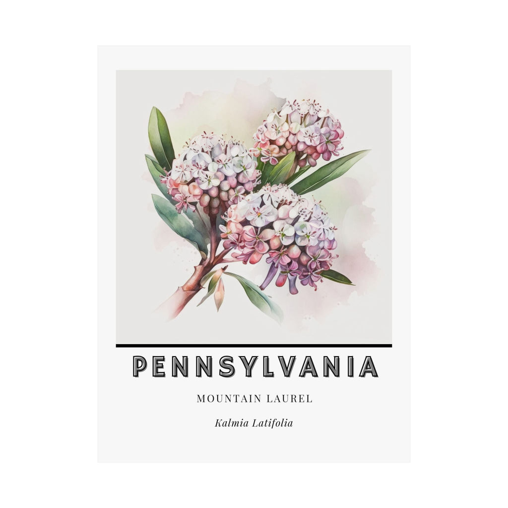 Pennsylvania State Flower Poster - Mountain Laurel Print