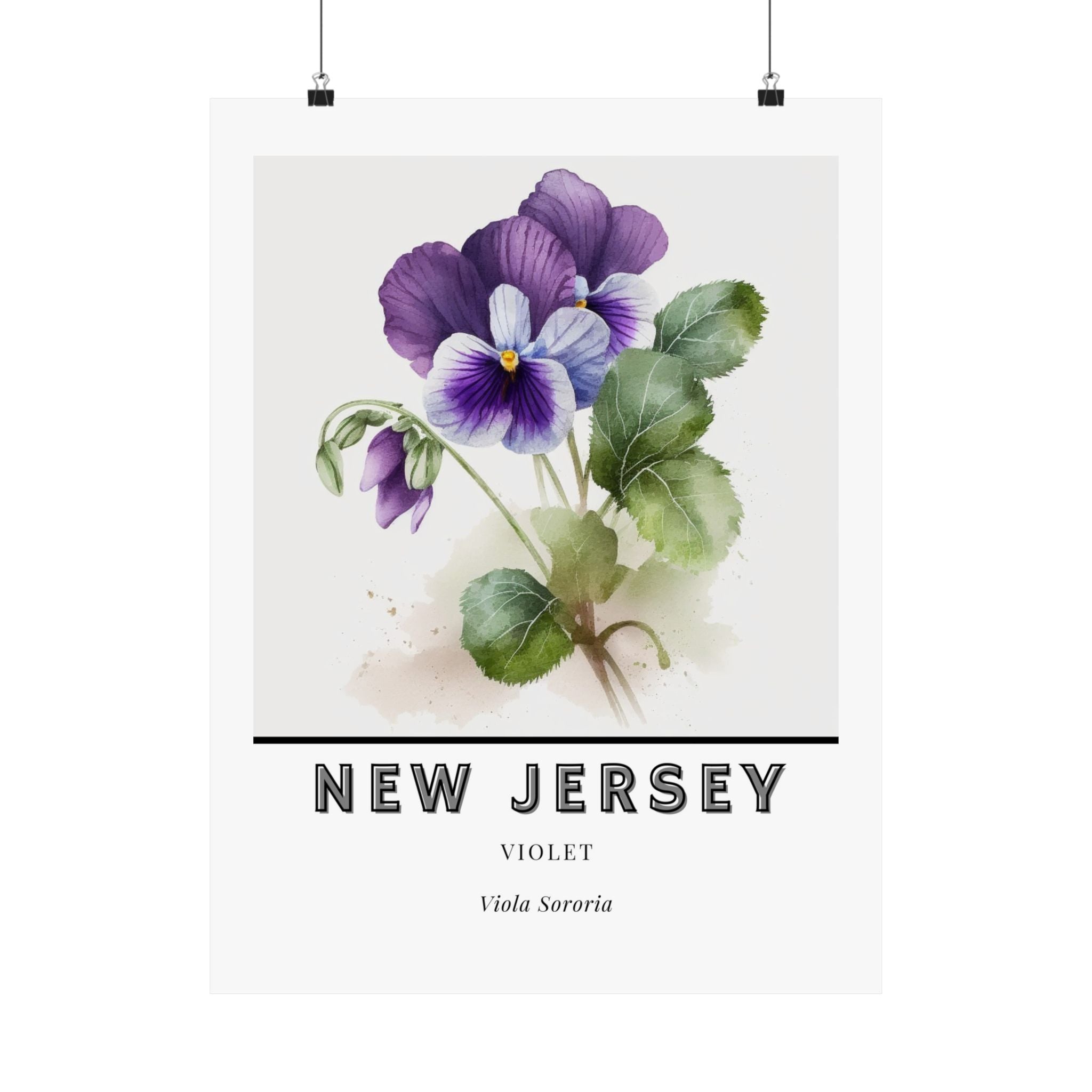 New Jersey State Flower Poster - Violet Botanical Print
