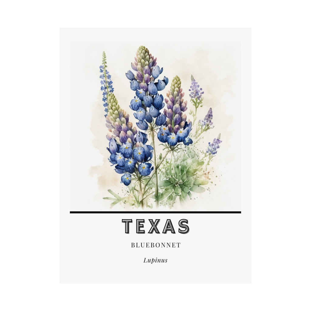 Texas State Flower Poster - Bluebonnet Botanical Print