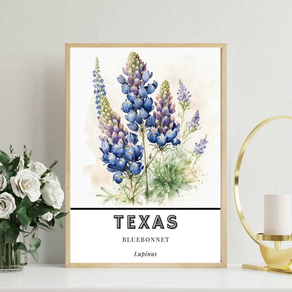 Texas State Flower Poster - Bluebonnet Botanical Print